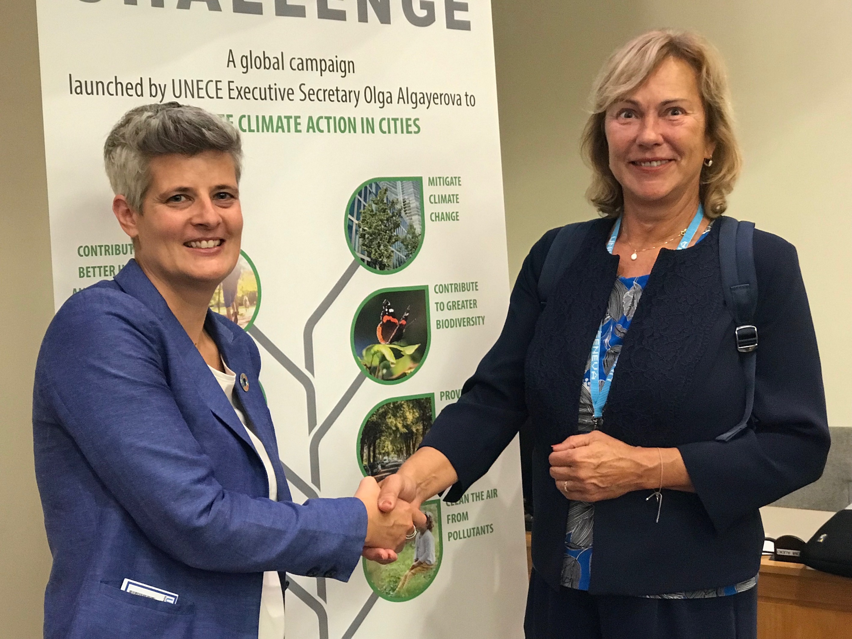 trees in cities.jpeg